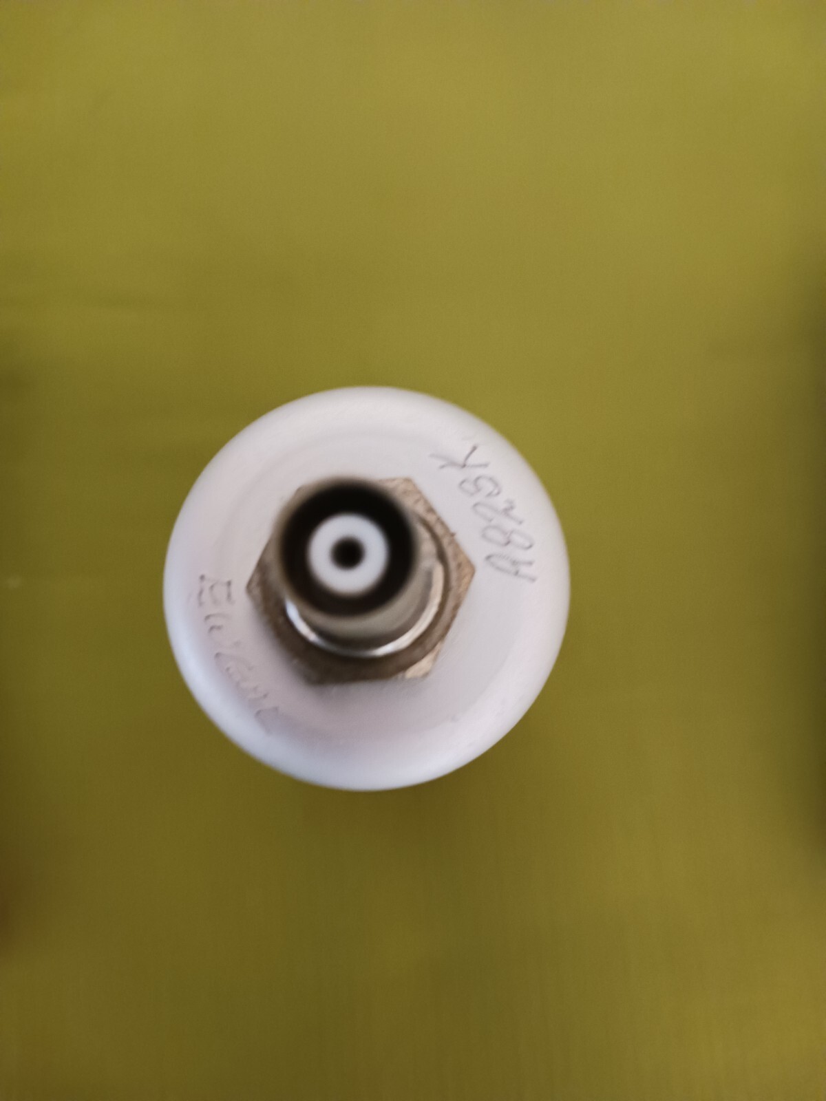 Bicron EWGM Probe