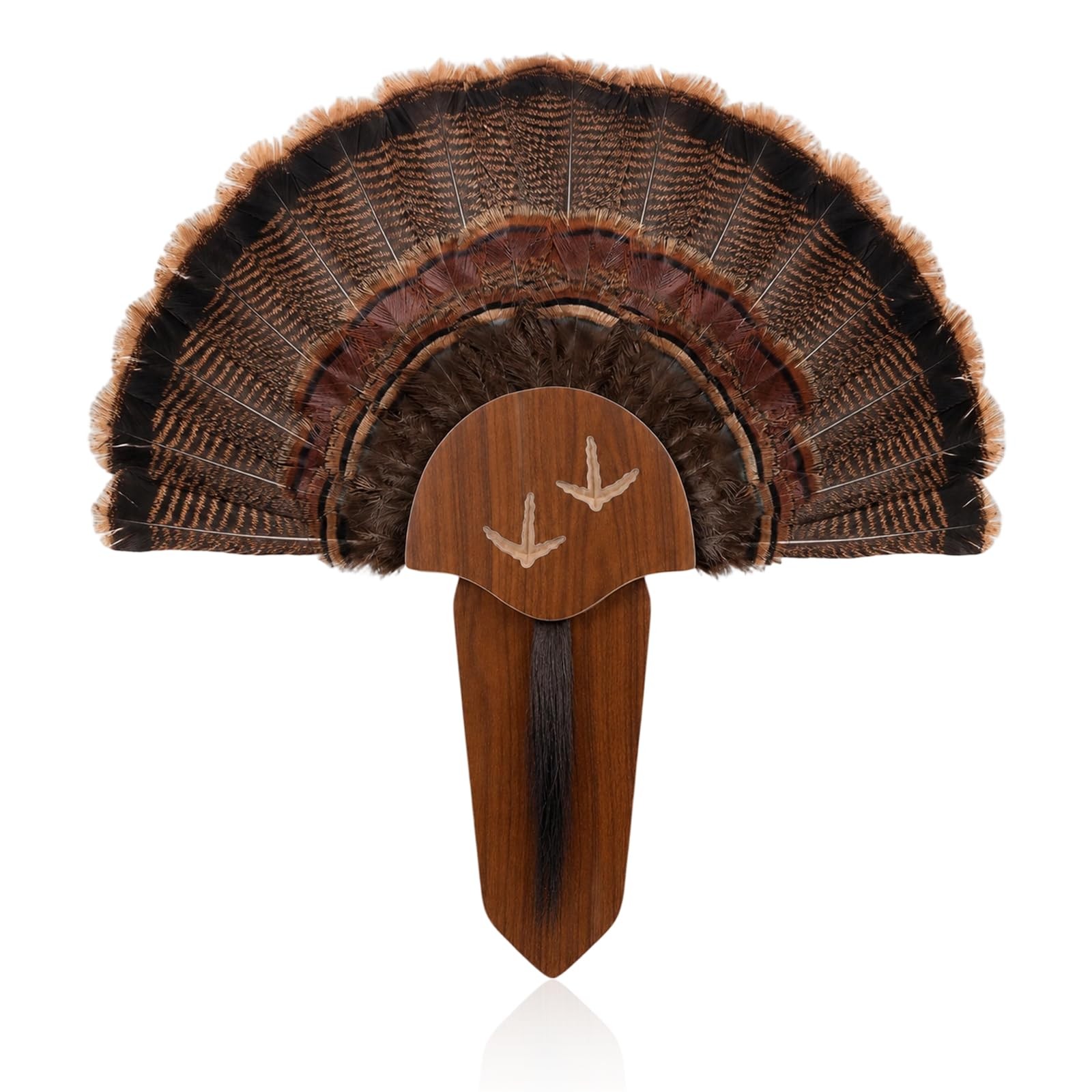 Conderyang 1 Pack Turkey Fan Mount Kit 13.97 x 6.8 x 0.66 inches, Brown