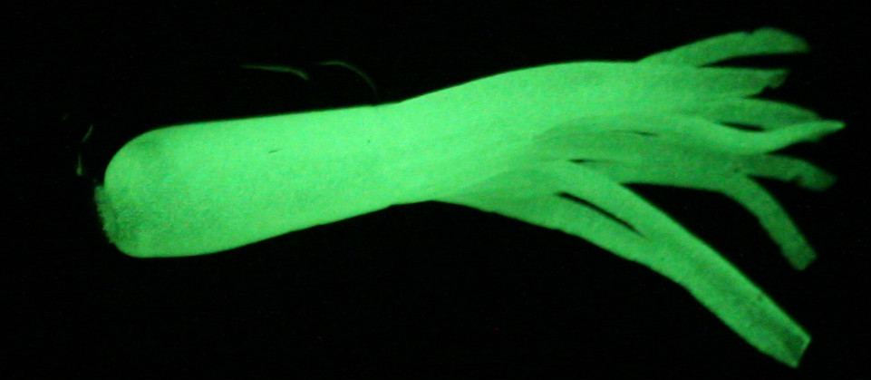 40 pk 1.5" Glow Chartreuse Crappie Fishing Tubes Jig Skirts Bluegill Perch