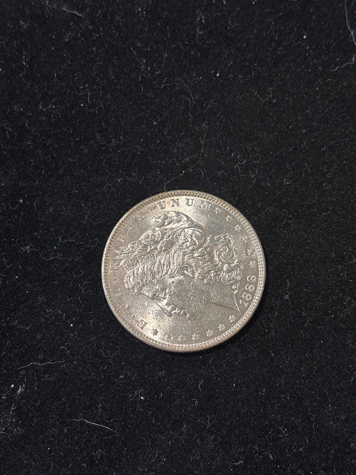 Morgan Silver Dollar 1888 P