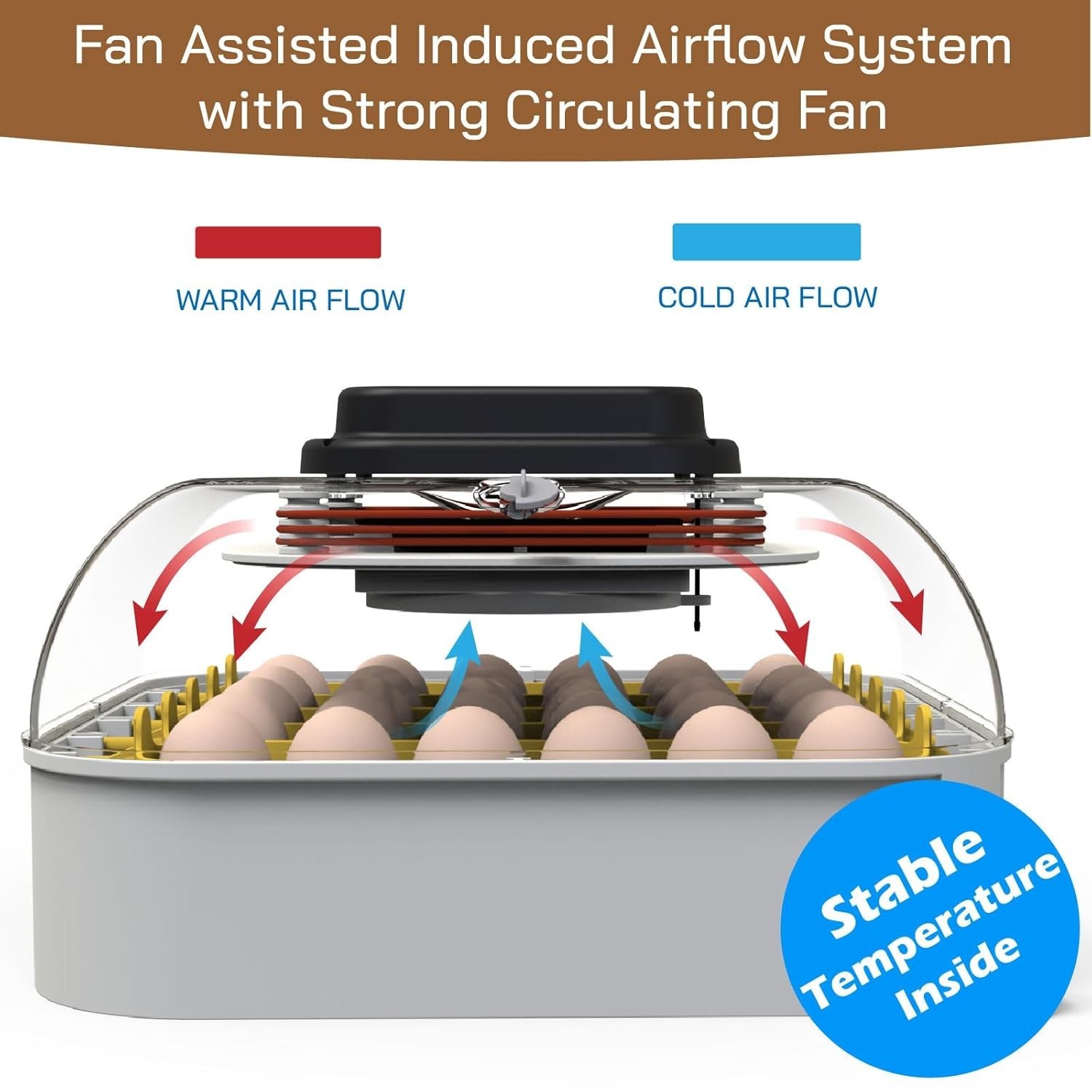 30-Egg Incubator with Humidity Display & Automatic Egg Turner for Hatching