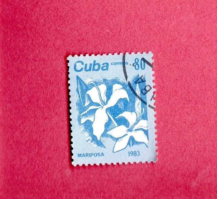 ABUCA USED 1983 FLOWER POSTAGE STAMP