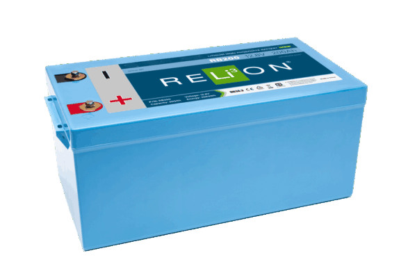 Relion Battery RB200 - Battery