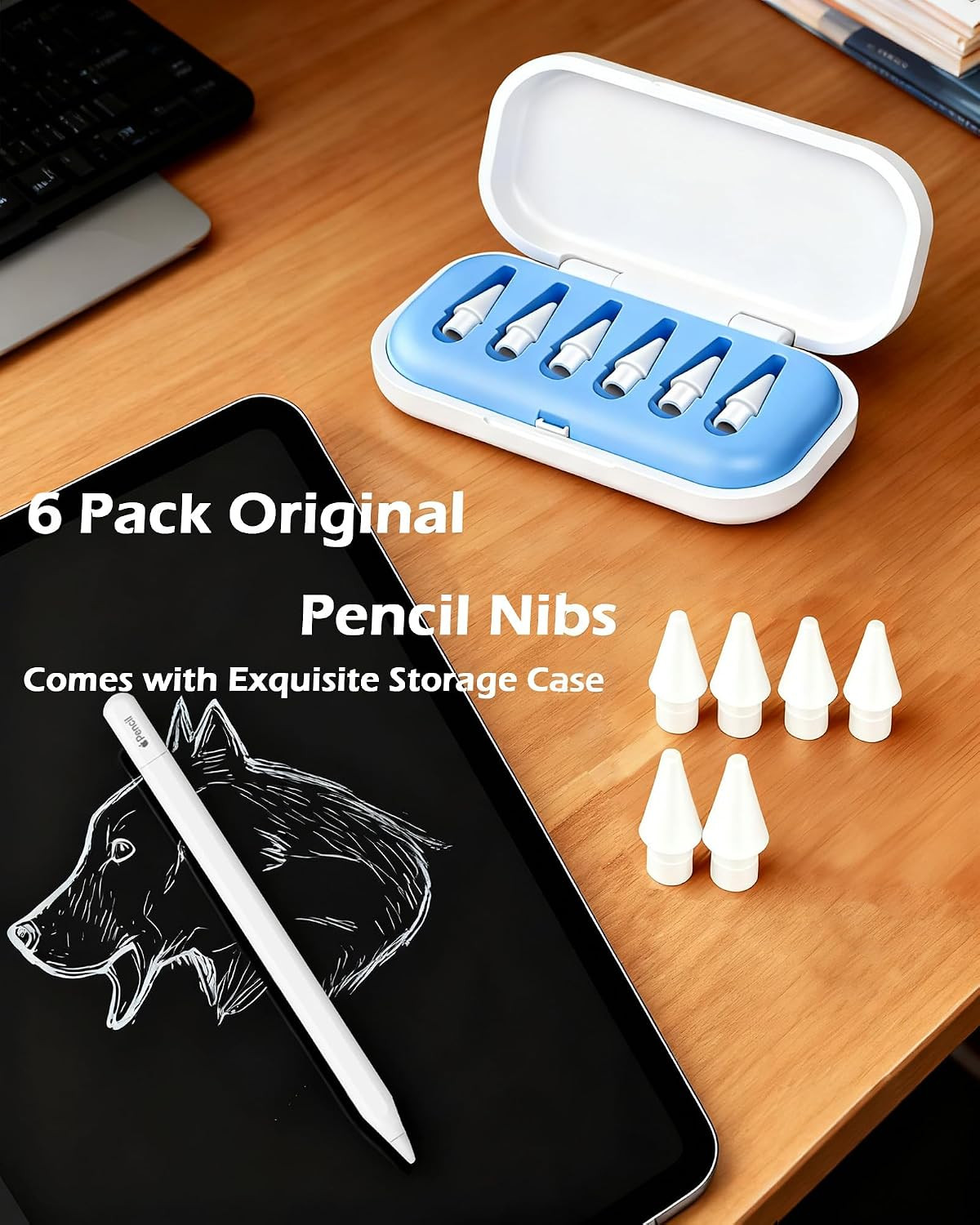 6 Pack Replacement Pencil Tips with Case for Apple Ipad 2Nd / 1St Generation - P