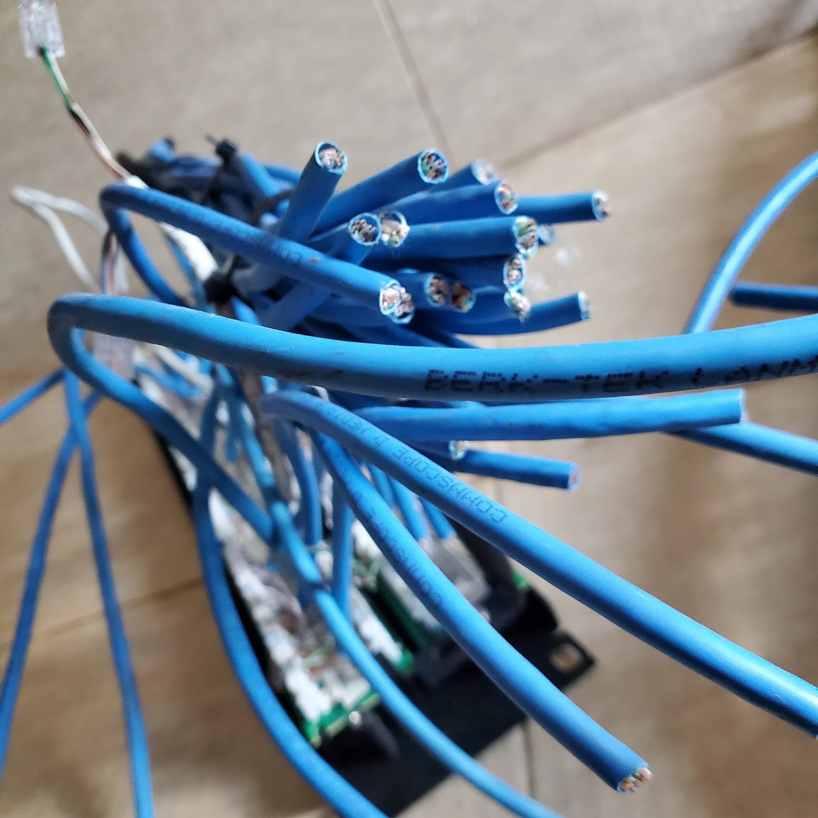 48-Port eXtreme Cat 6+ Flat 110-Style 2RU Patch Panel with Cable Management Bar