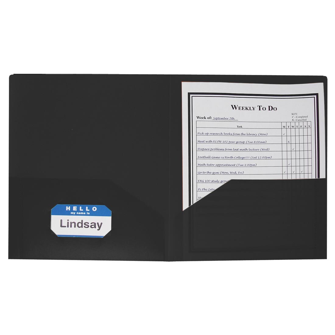 C-Line Poly Portfolio Black