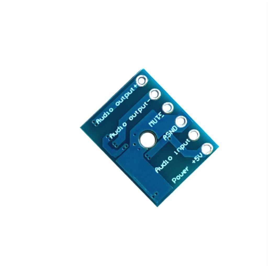 High Power Mono Digital Audio