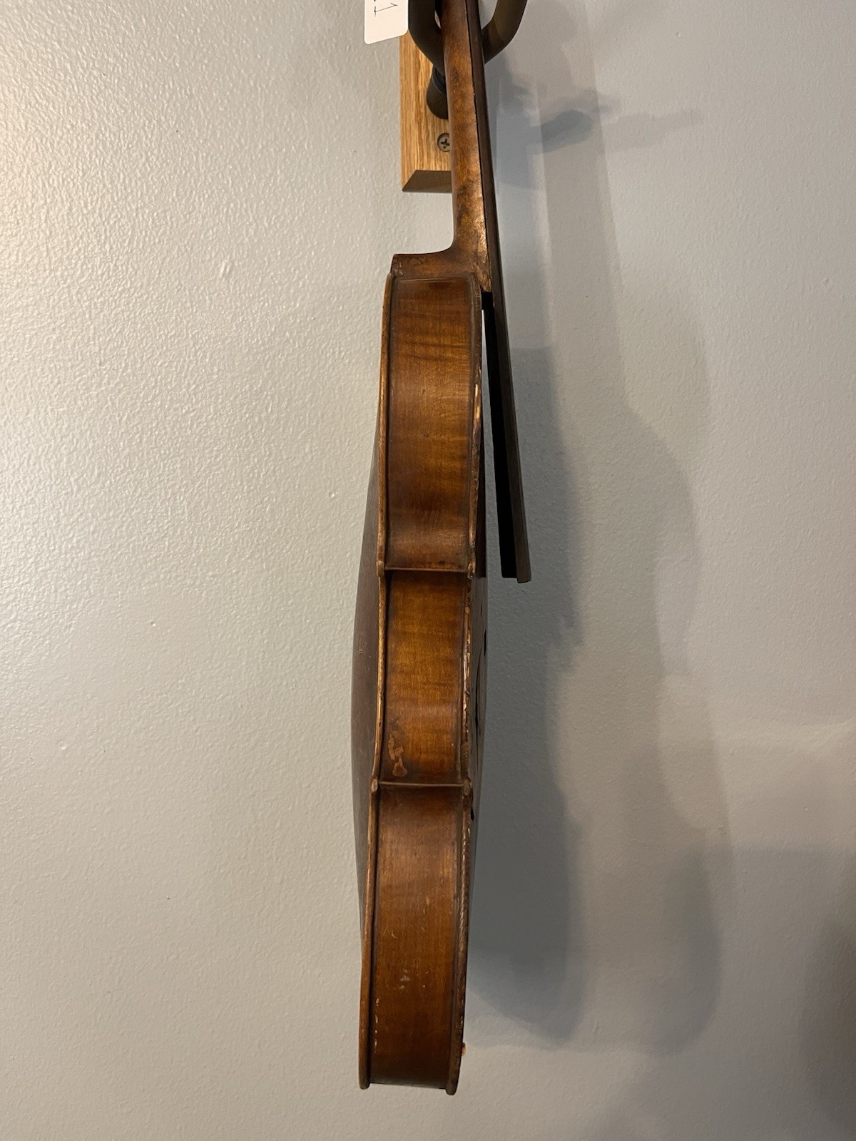 Maggini Violin 4/4 Project