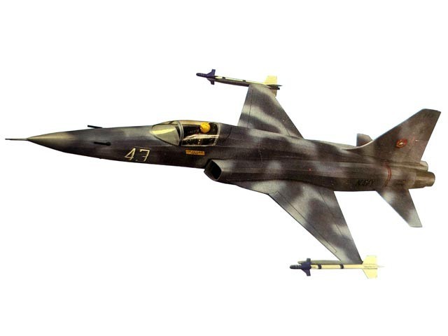 F-5E Tiger II FF 13" Wingspan RC Model Airplane Printed Plans & Templates
