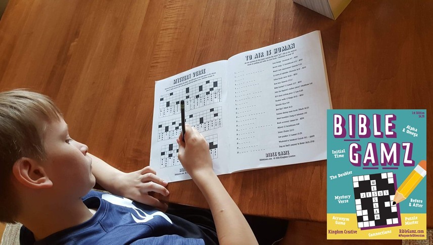 Bible Gamz: A Purposeful Diversion (Game Books)