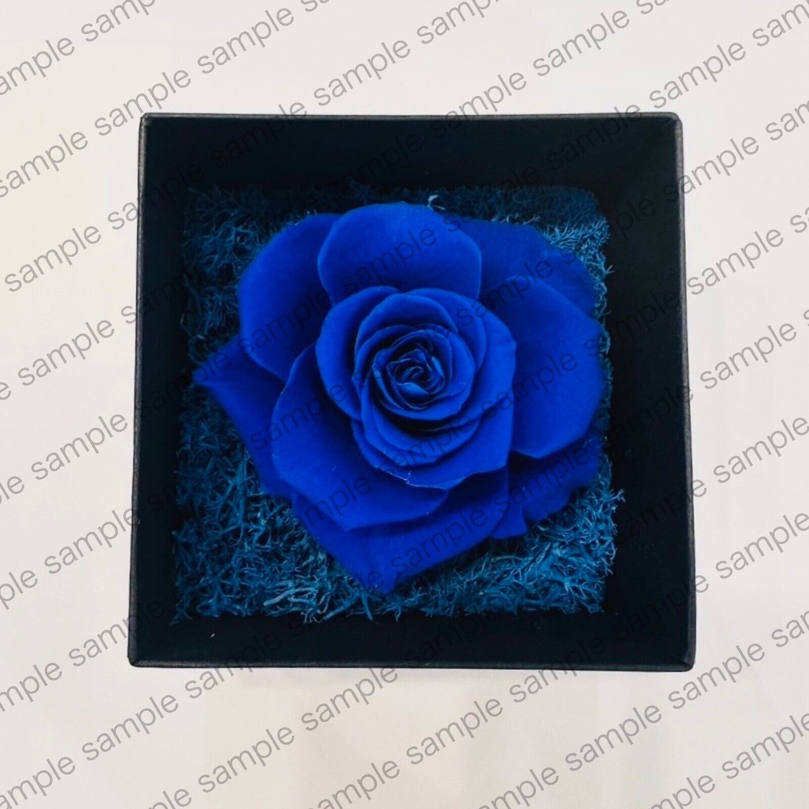 Ado Blue Rose Preserved Flower SPECIAL LIVE 2024 Heart VIP Seats Limited NEW