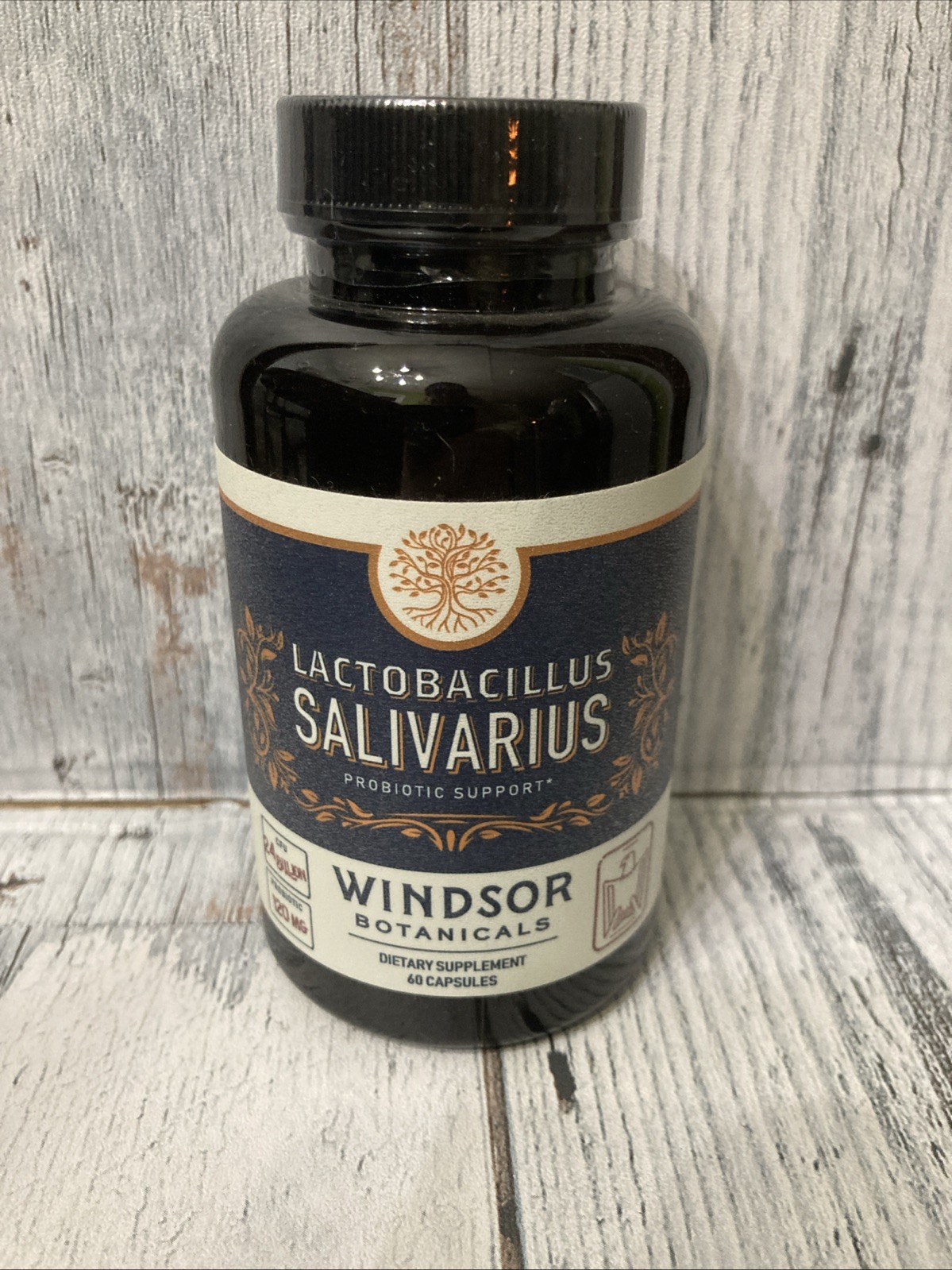 Lactobacillus Salivarius Probiotic Capsules-Windsor Botanicals 60 Caps Exp 3/27