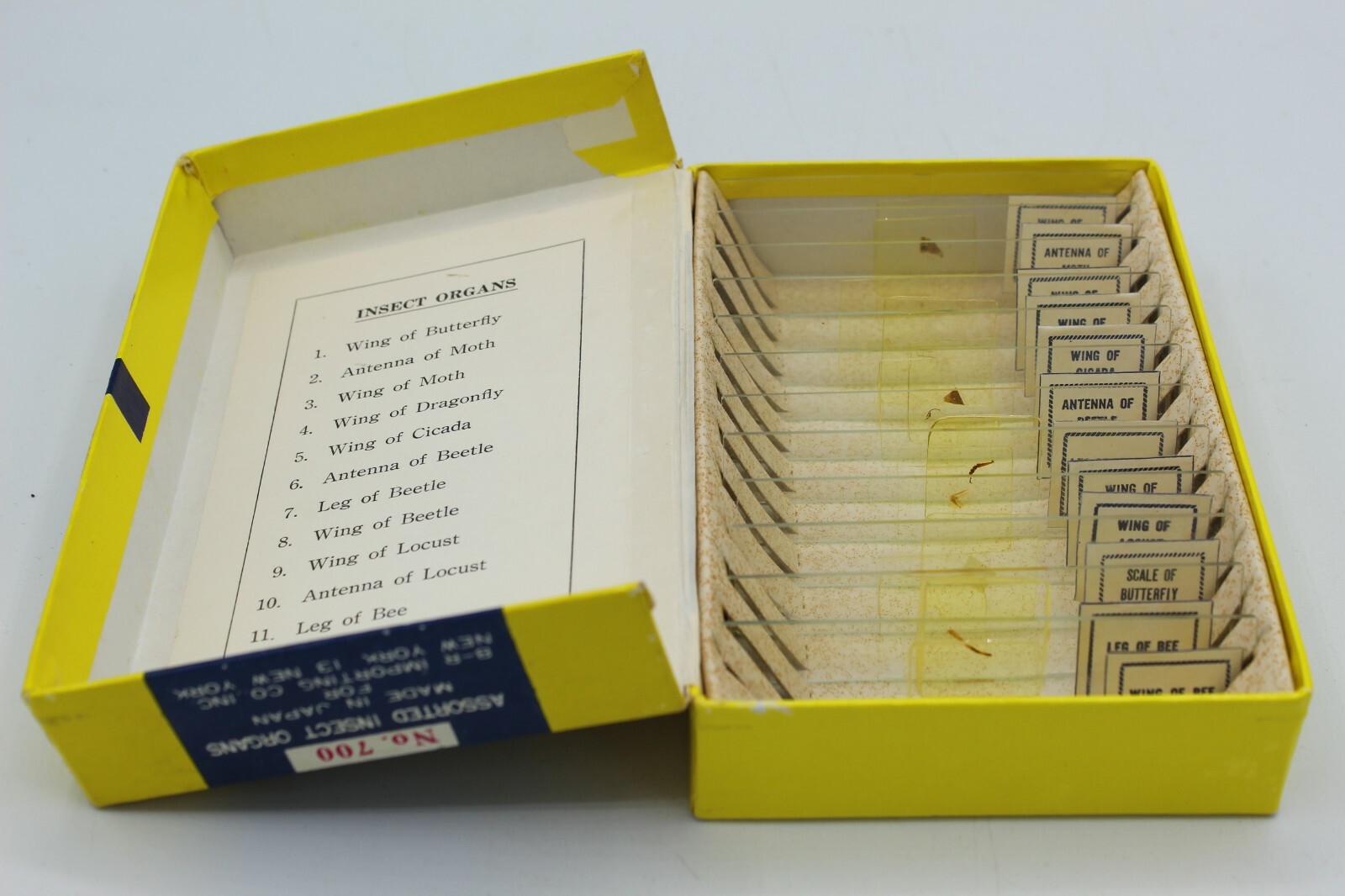 Vintage Organs of insects set of glass 12 prepared slides scientific