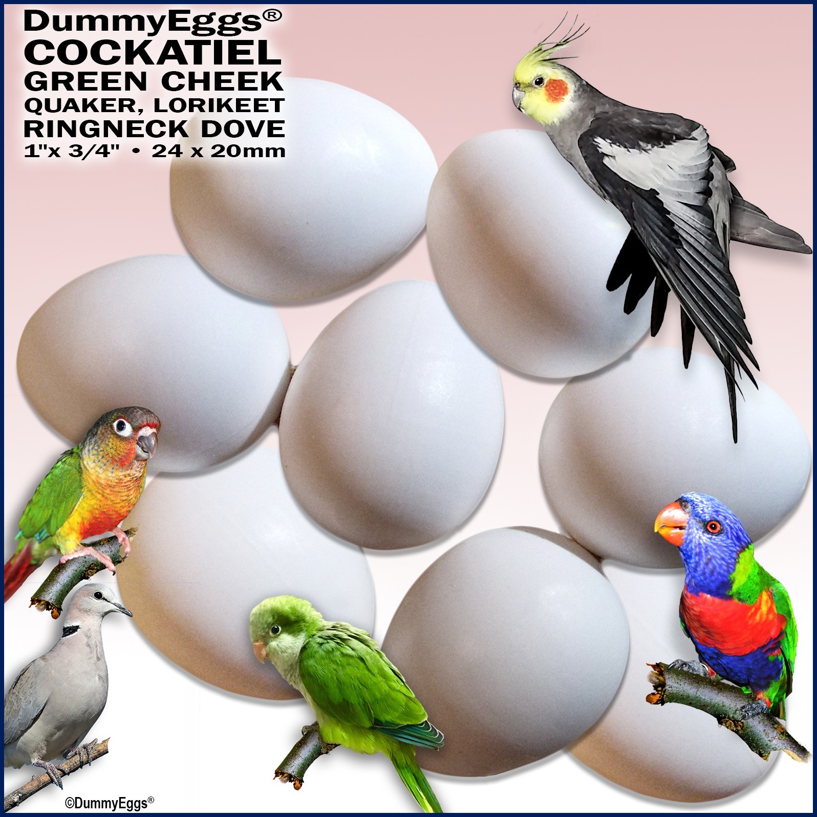 DummyEggs 8 Cockatiel Solid Plastic Fake Eggs Stop Laying Quaker, Green Cheek