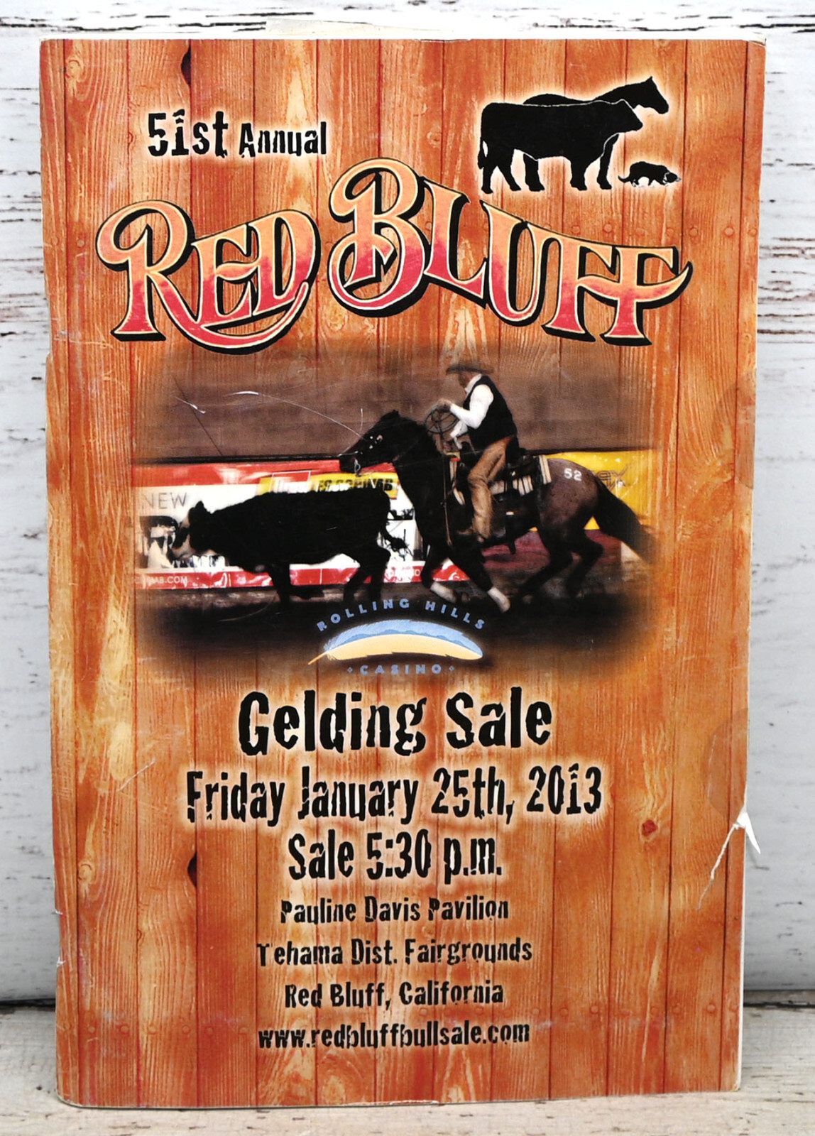 51st Annual Red Bluff Gelding Sale 2013 Catalog Booklet Horse Sale California