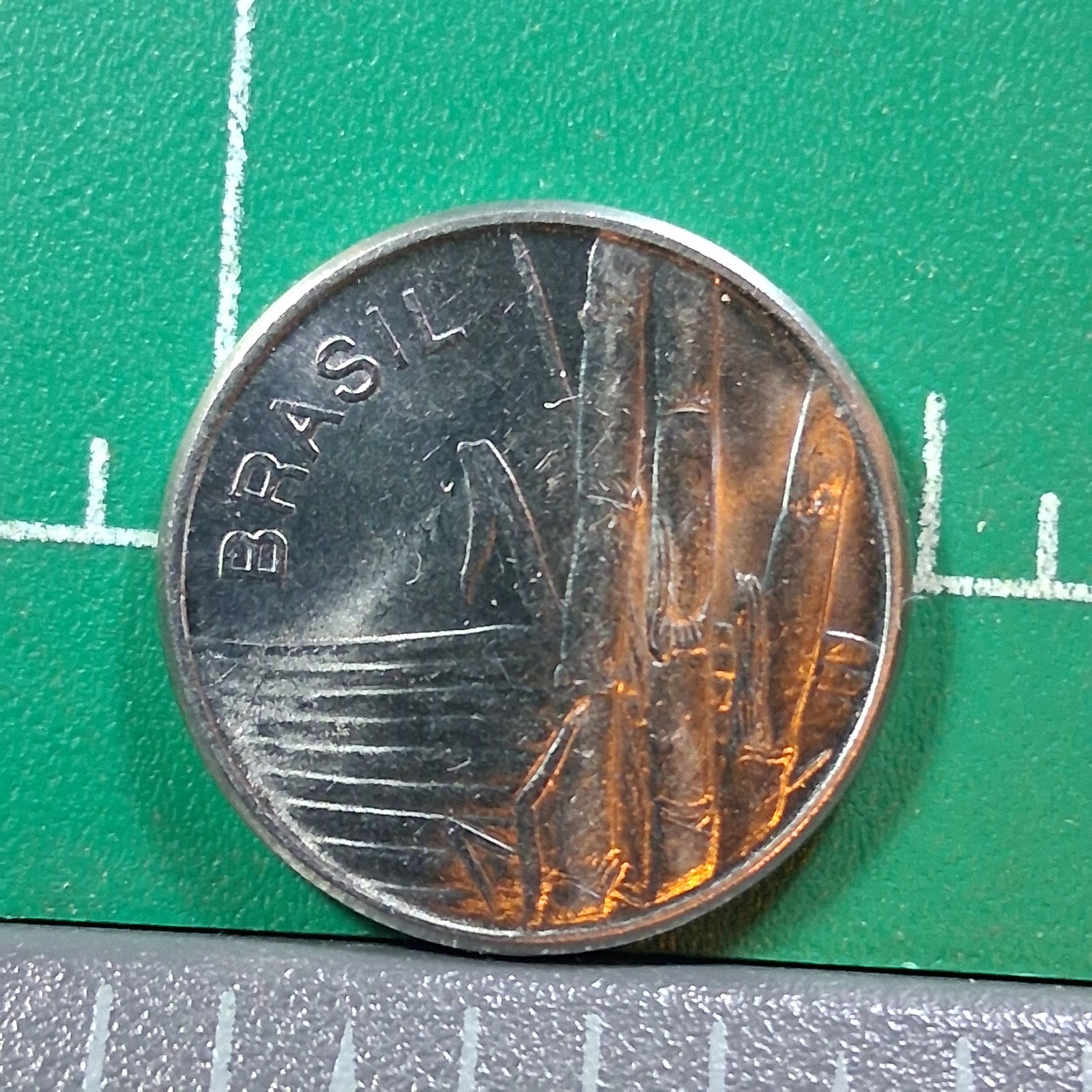 1979 Brazil 1 Cruzeiro Sugarcane Stalks Stainless Steel Coin