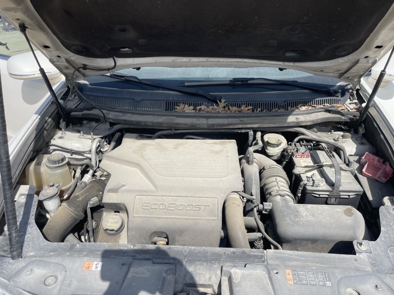 Transfer Case Assembly 2010-2019 LINCOLN MKT fits 3.5L w/ Turbo          1009216