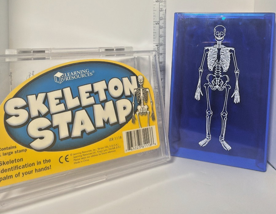 Learning Resources Skeleton Stamp Science Anatomy Classroom Homeschool