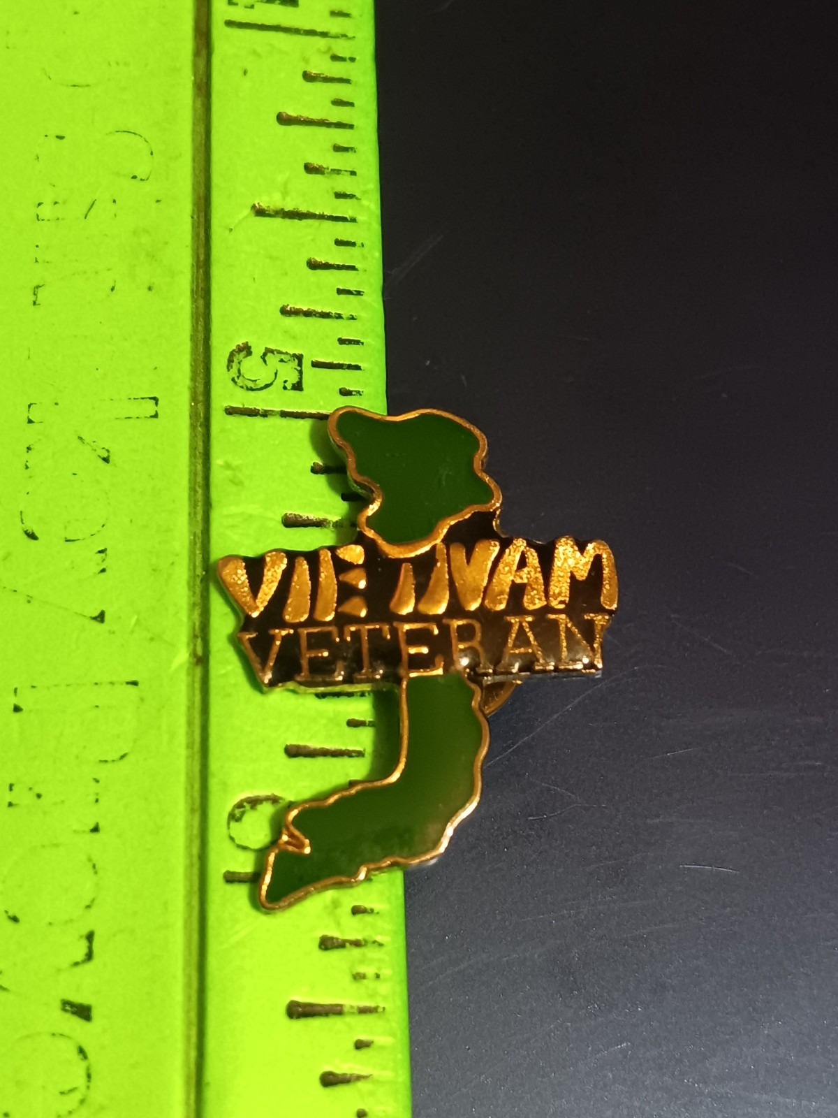 Hat / Lapel Pin- Vietnam Veteran (26-070)