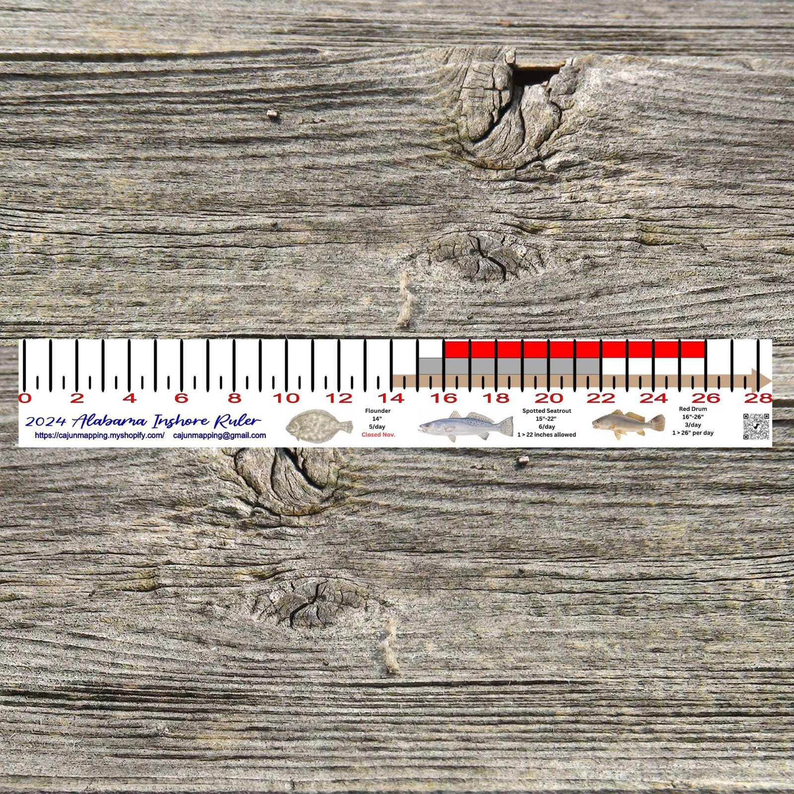ALABAMA INSHORE FISHING SLOT RULER DECAL