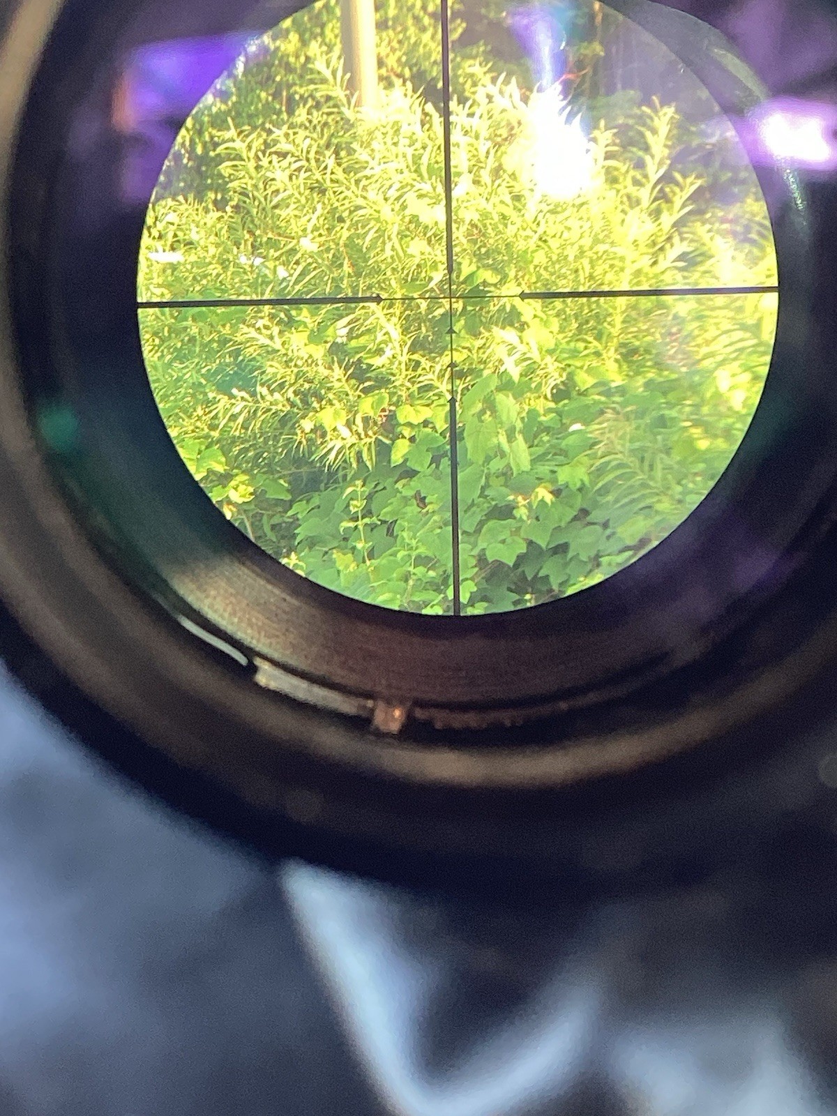 Excalibur Shadow Zone Crossbow Scope