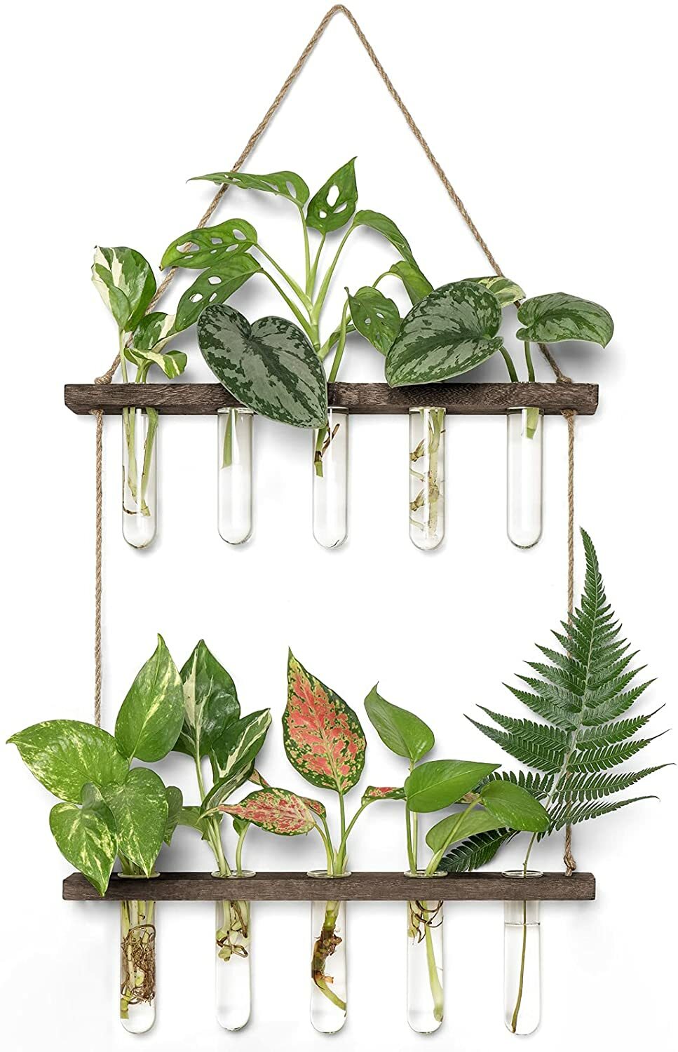 Hanging Plant Propagation Set