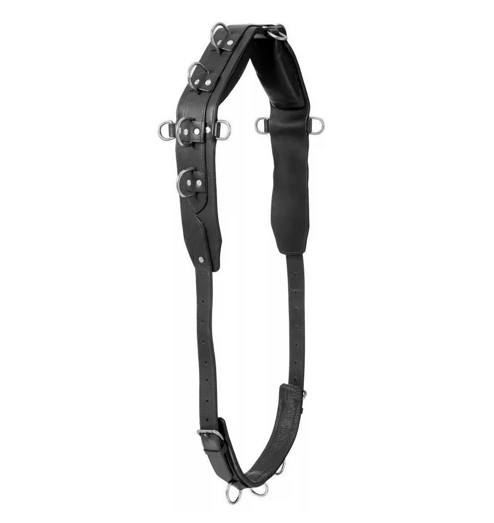 Heavy Leather Horse Training Surcingle Adjustable Girth Padding Free Shipping