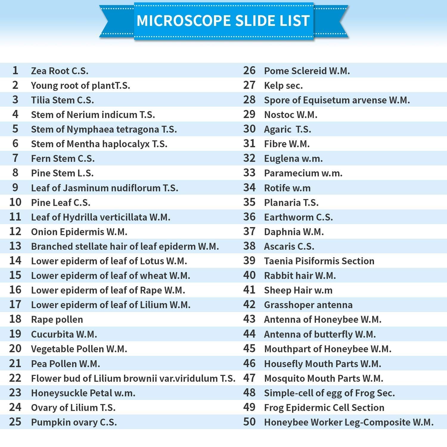 100 Microscope Slides with Frosted Edges - Perfect for Kids’ Science Experience