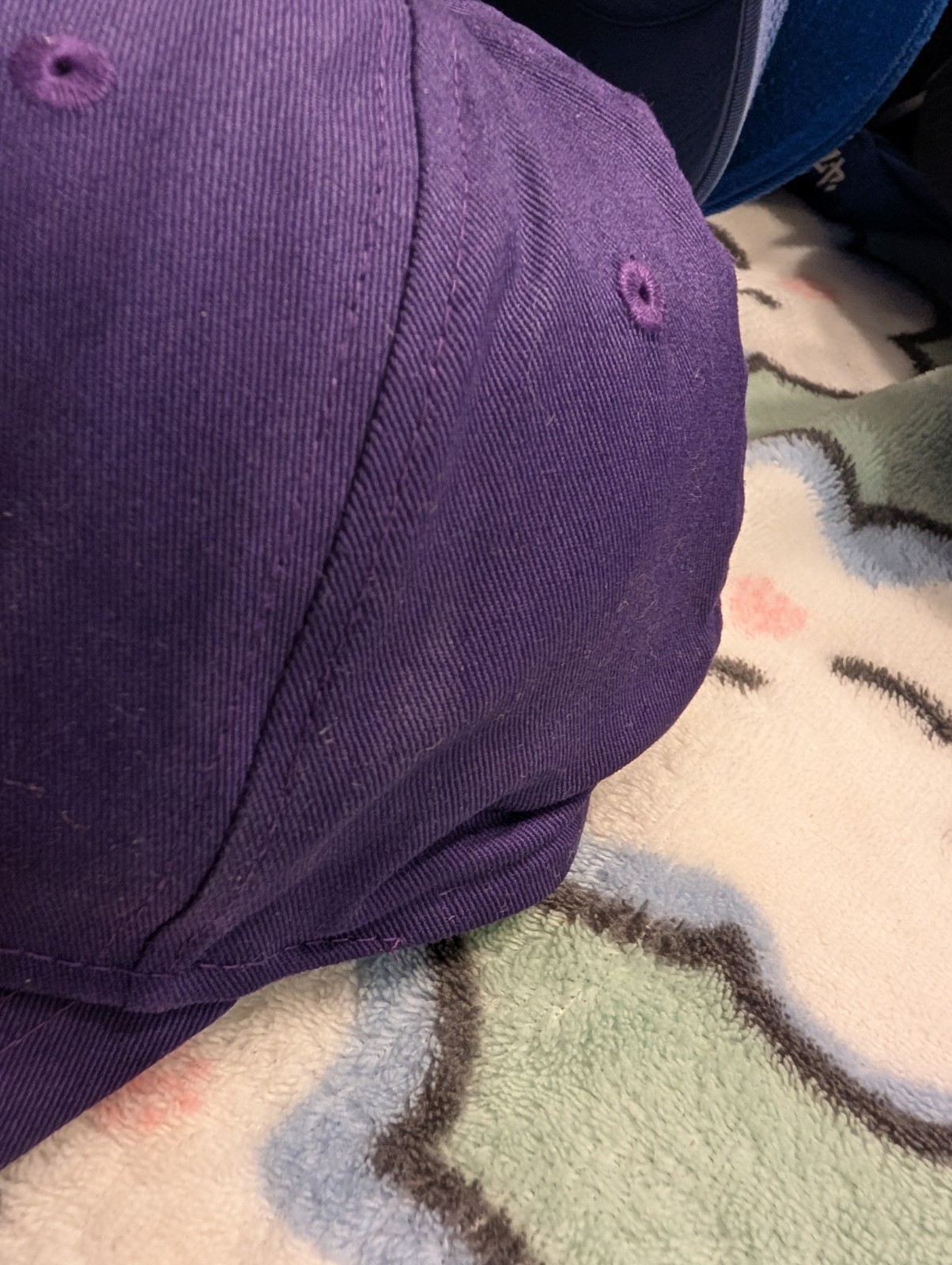 Winston-Salem Dash Hat Cap Unisex Purple Adjustable T3