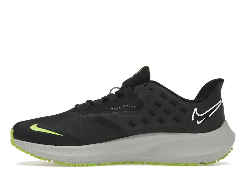 Nike Zoom Pegasus 39 Shield Black - DO7625-002