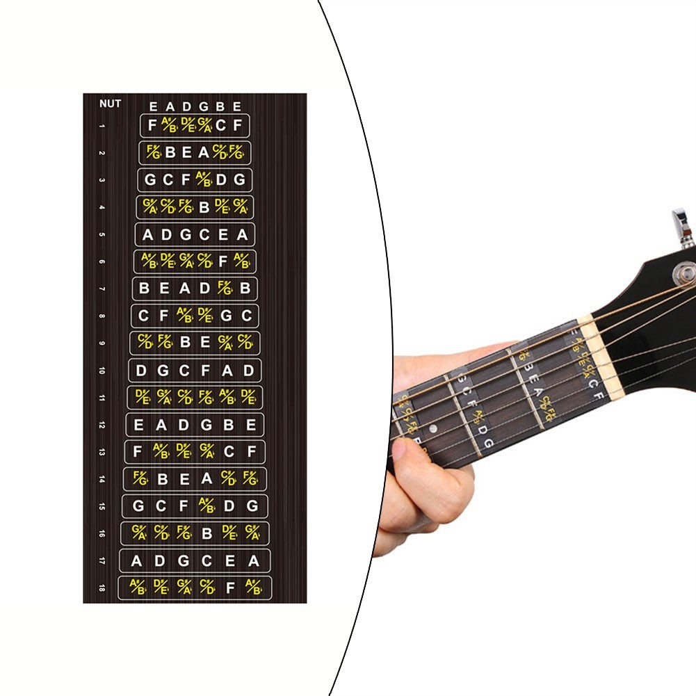 Entertainment Sticker Decals Scales String Beginner Easy To Install Fret