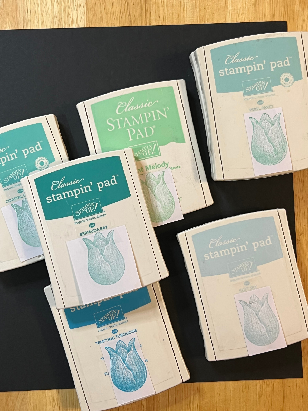 Classic Stampin Up Ink Pads You Choose Color ~ This listing is for Aqua Colors