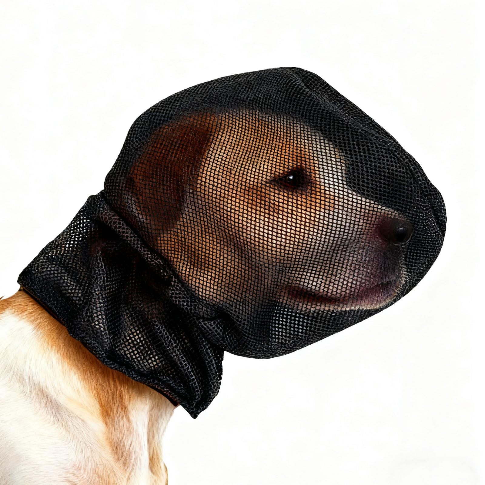 Dog Foxtail Head Mask Outdoor Hiking Camping Protection Soft Breathable Mesh Bla