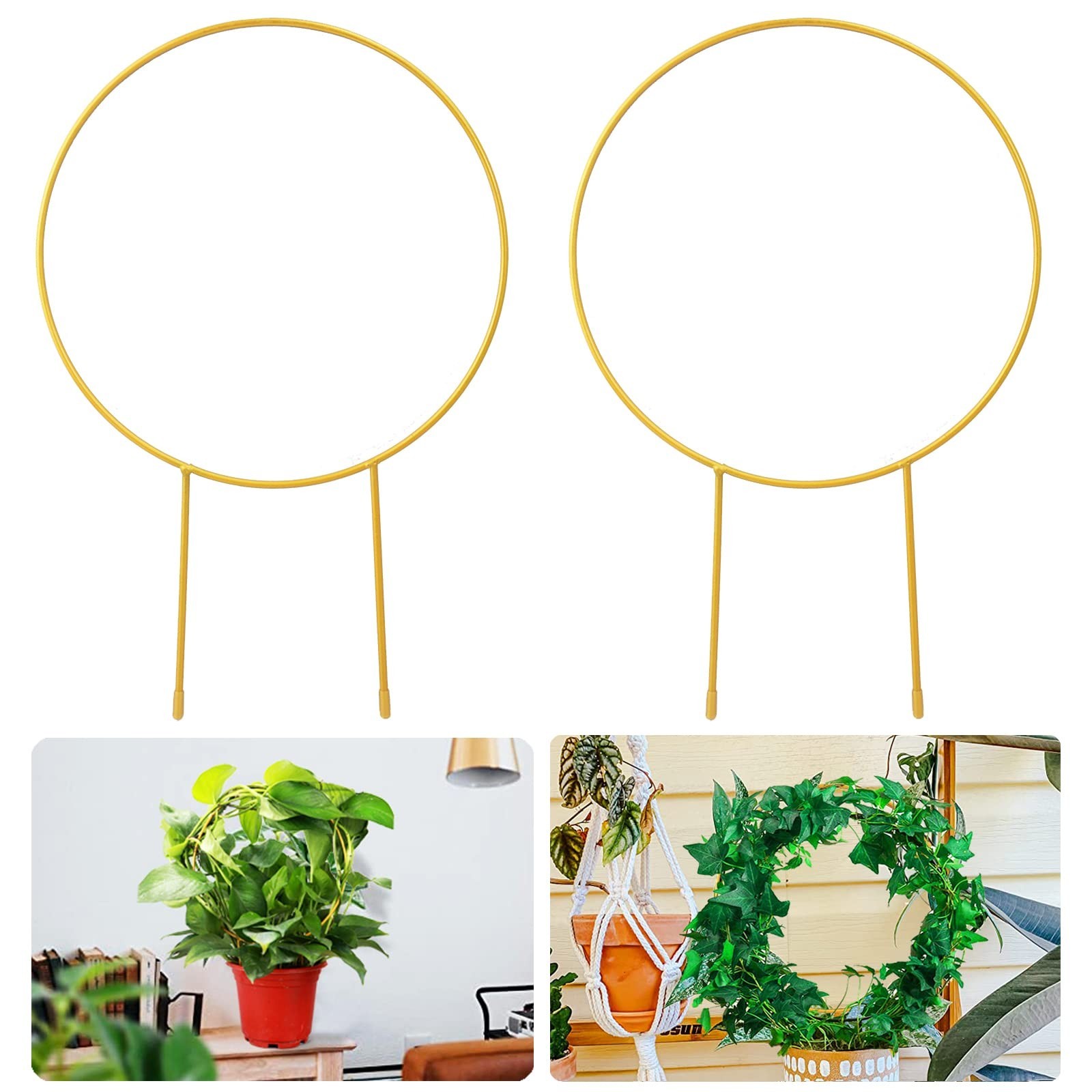 2 Pack Circle Trellis for Climbing Plants Indoor, 15" Gold Small Plant Suppor...