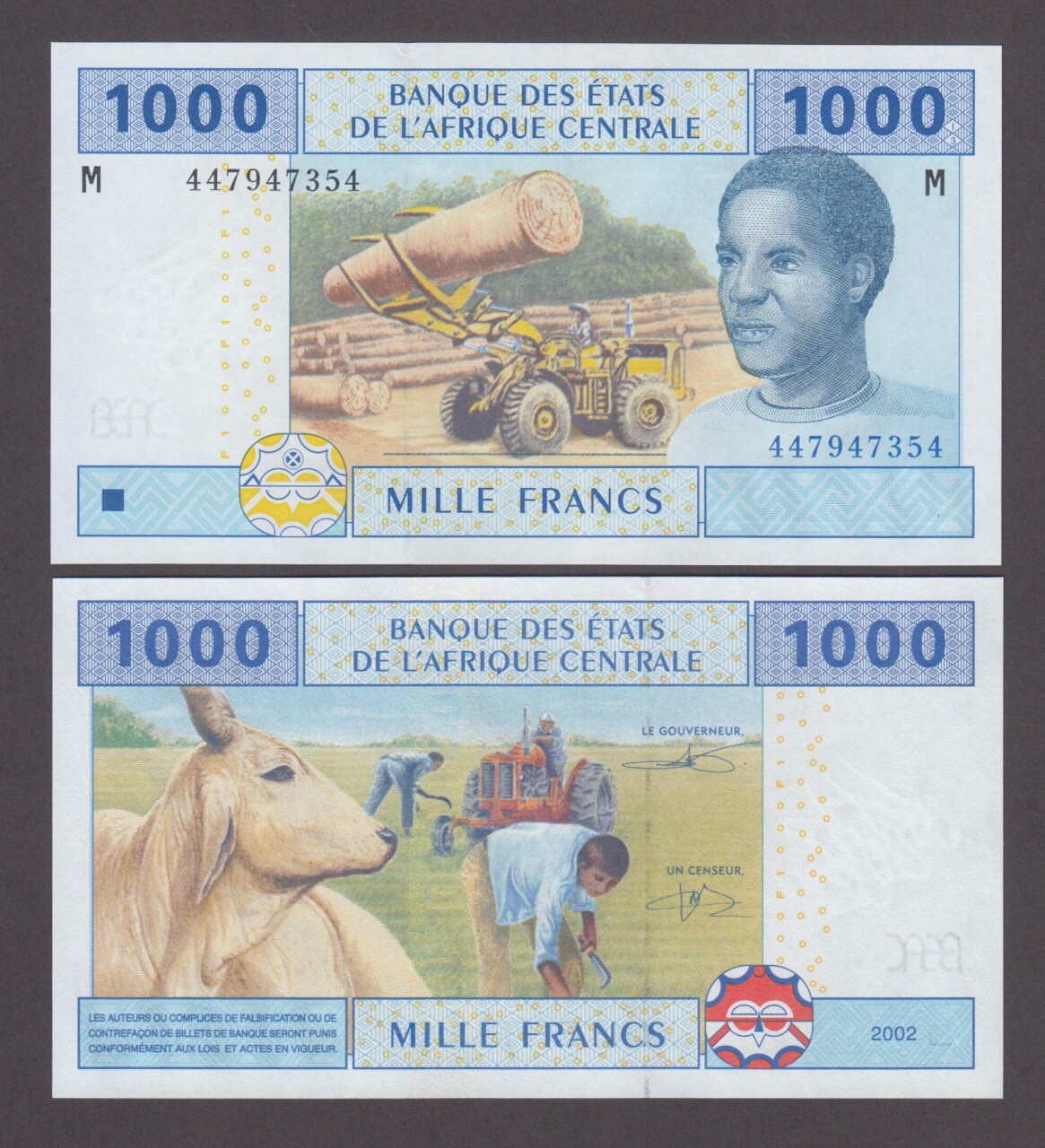 Central African STATES P.307M  UNCIRCULATED WE COMBINE       YYY       2412