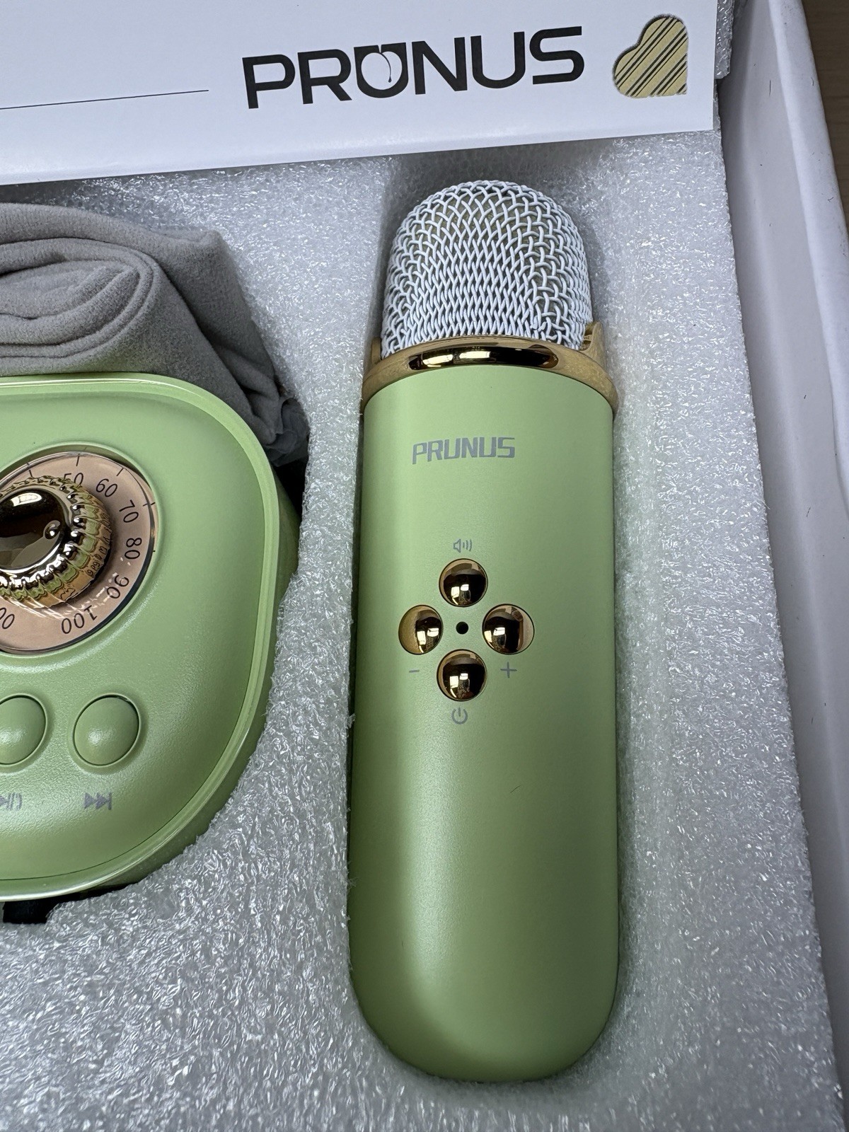 PRUNUS C20 Mini Karaoke Machine Portable Bluetooth Speaker