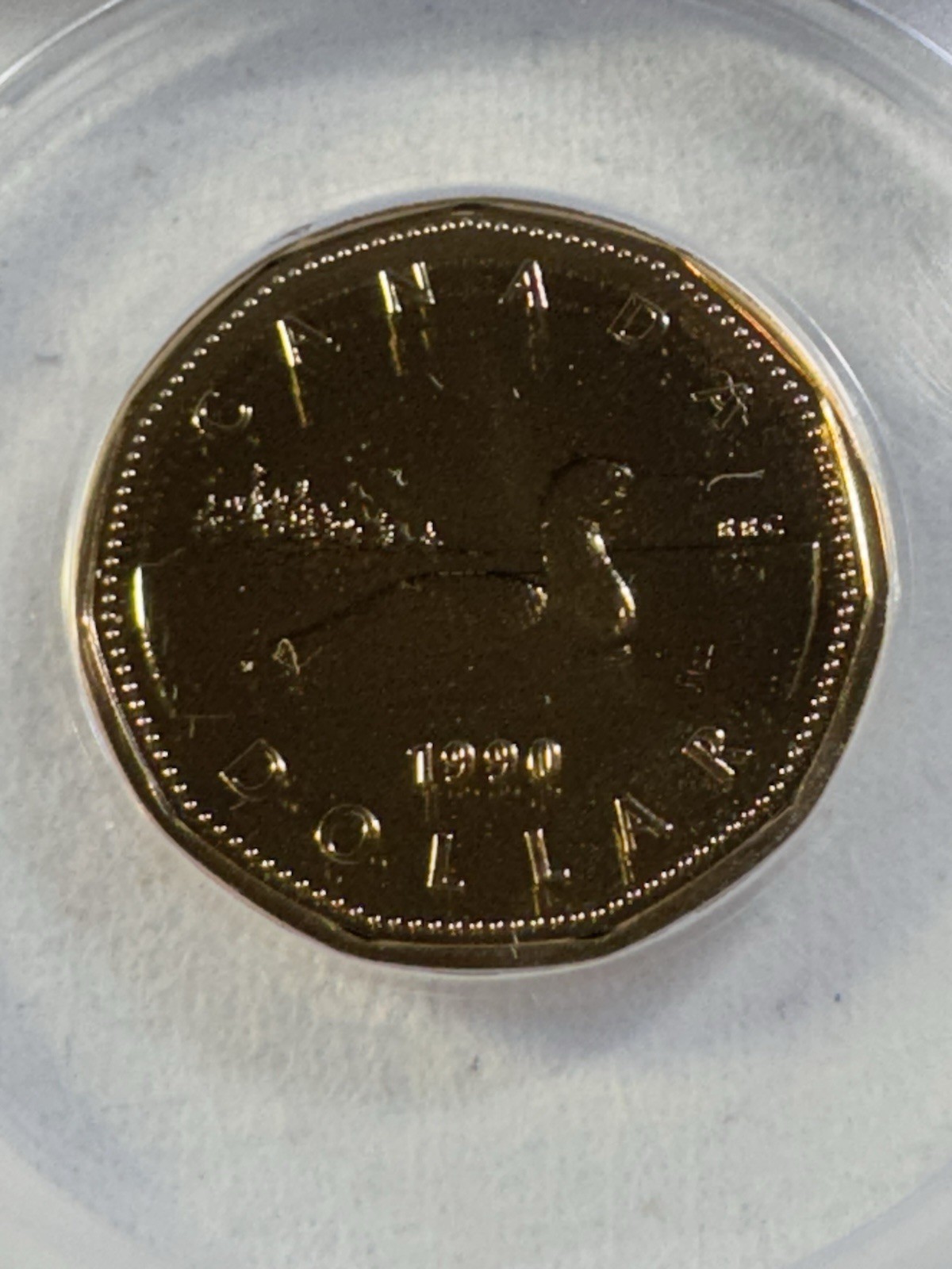 1990 Canada 1 Dollar Loonie Proof Like Graded MS 66 by ANACS