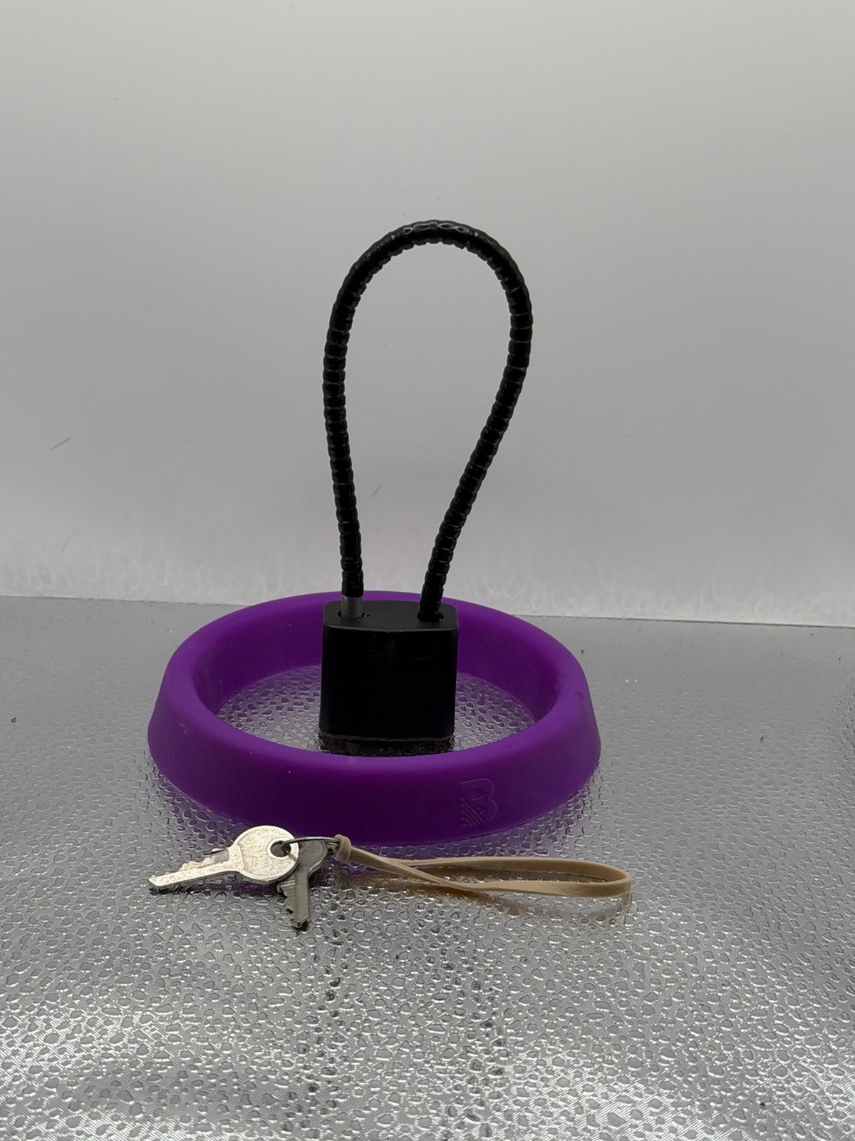 Steel Cable Lock for Pistol, Black & Purple, Security Cable, 2 Keys