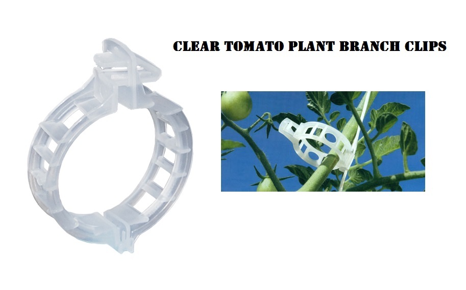 100pc Clear Twine Tomato Vine Plant Branch Clips Mega 25mm SAVE $$ W/ BAY HYDRO