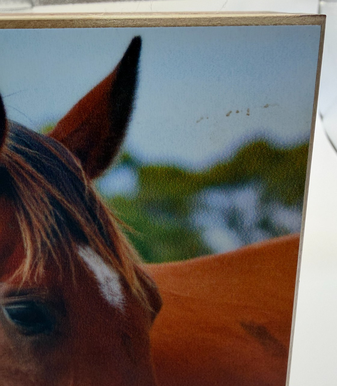 Unbranded Horse Print Cedar Keepsake Memory Box 8" x 6"
