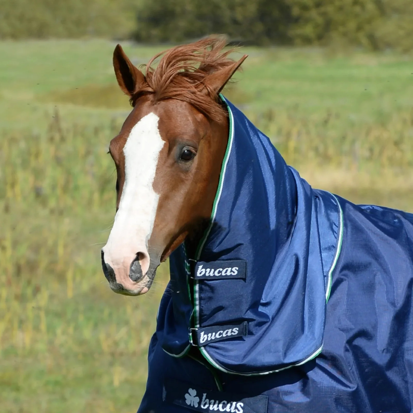 Toklat Bucas Smartex Combi Neck Horse Blanket Attachment - Navy - Multiple Sizes