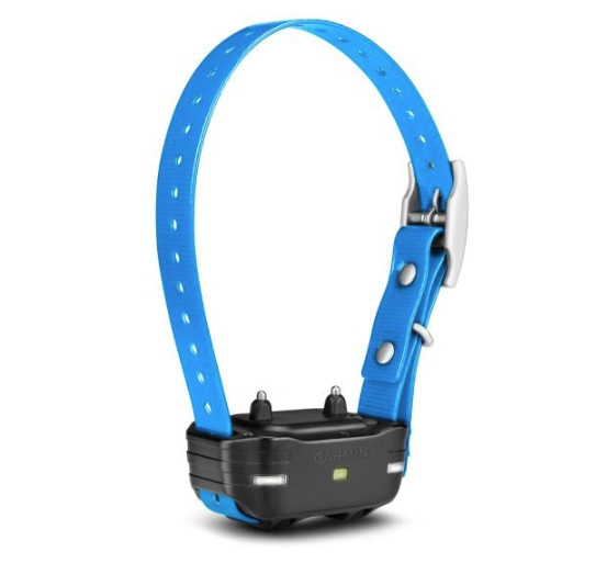 Garmin PT 10 Dog Device, Blue Collar