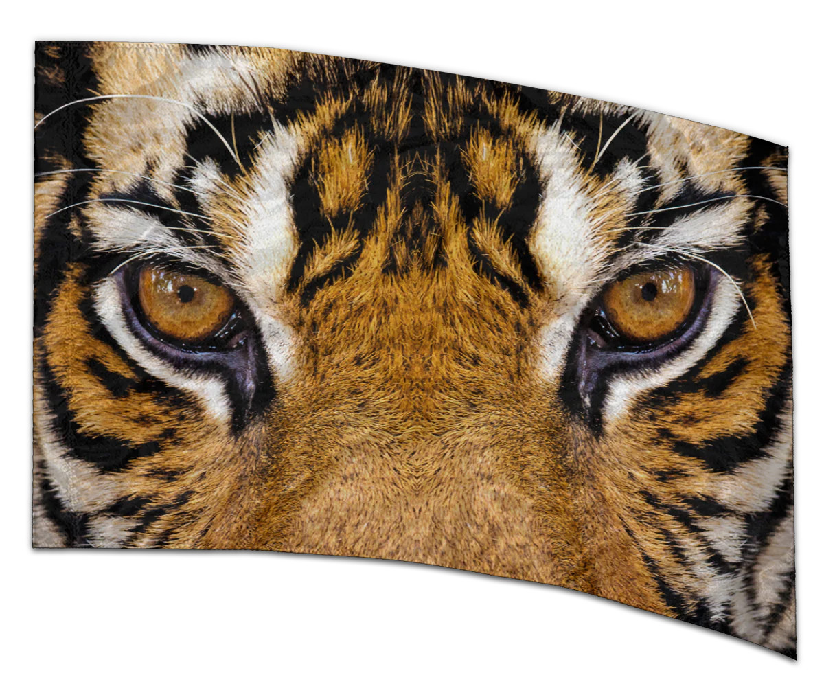 COLOR GUARD FLAGS FIERCE GAZE SILKS - NEW - 36" x 54" Standard Curved