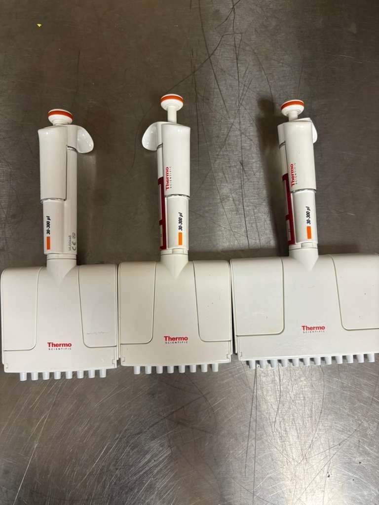 Set of 3 ThermoF1 finnpipette multichannel Pipette 30-300ul 8-12channel