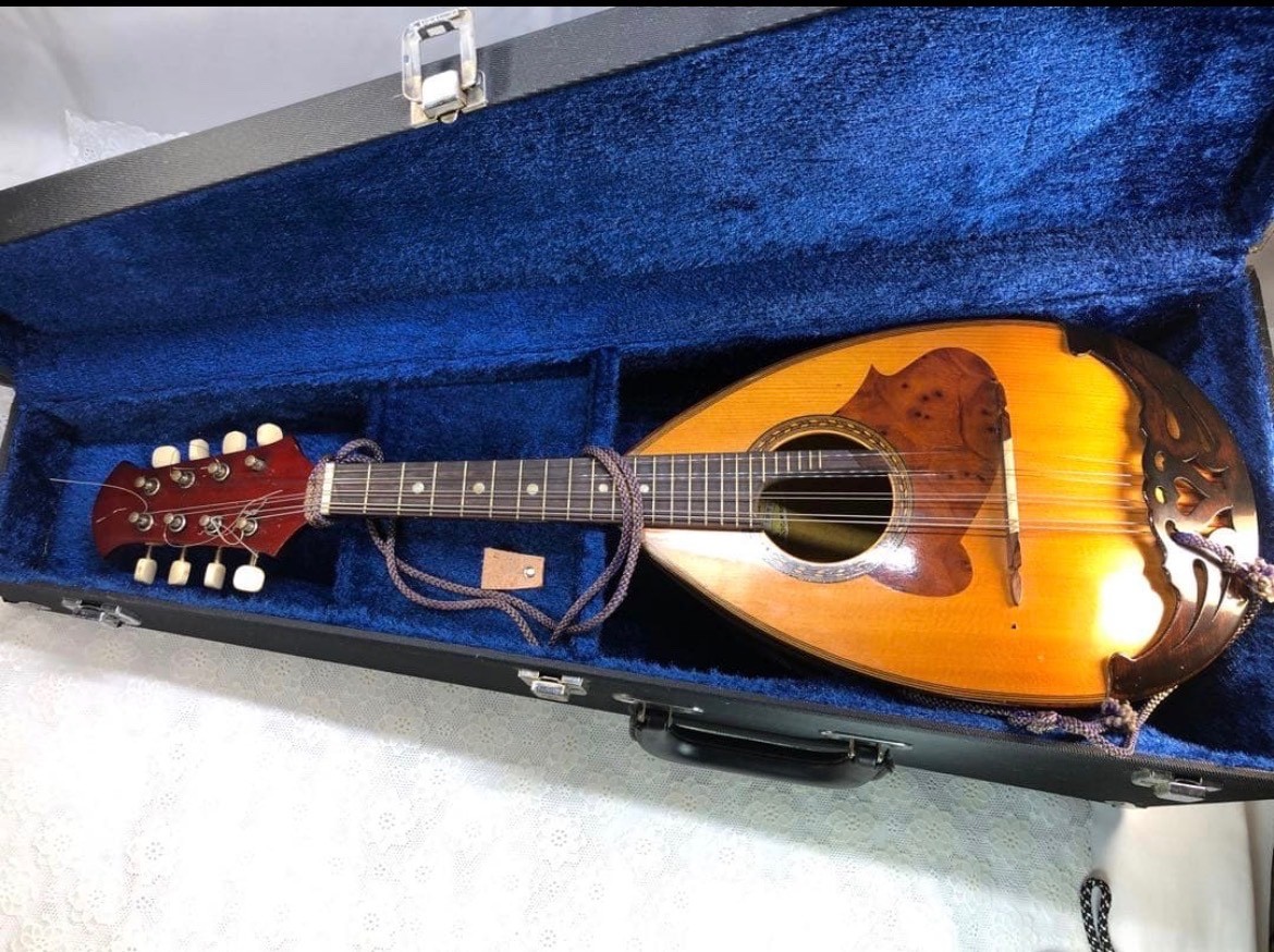 Vintage Suzuki Violin No.226 Acoustic Mandolin w/ Case - Vintage Collectible