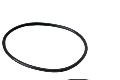 Butler O-Ring For SS Chemical Pump Body #030V
