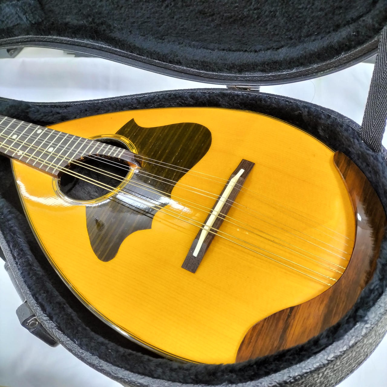 BLANTON Mandolin (Model Unknown)