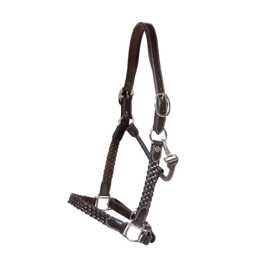 Dion WO Plaited Leather Halter