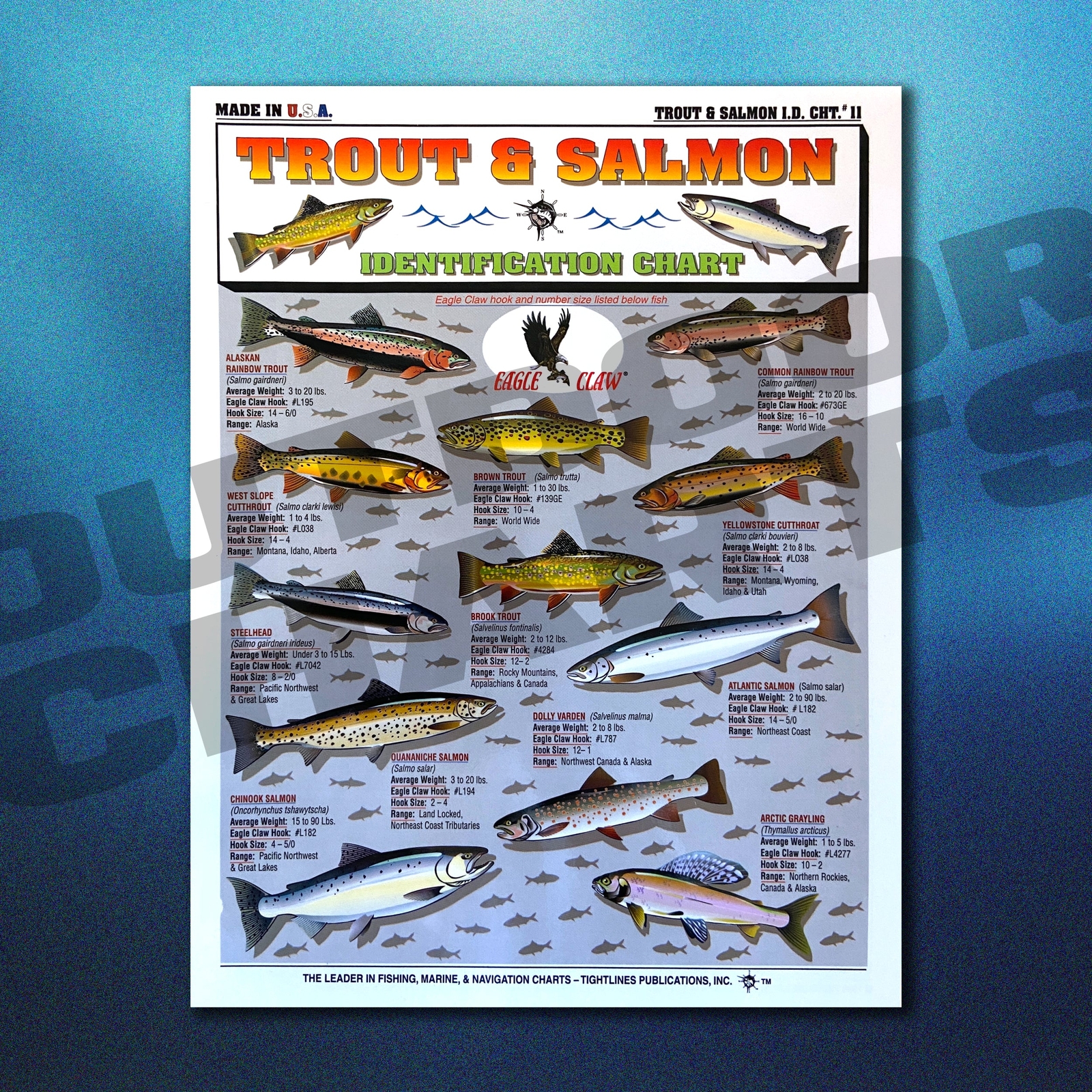 Trout and Salmon Identification #11 - Waterproof Quick Reference Guide | (Size,