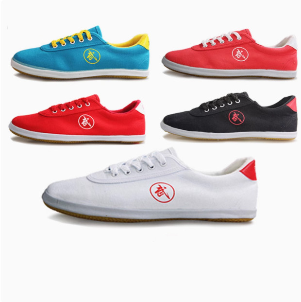 Unisex Wushu Kung Fu Martial Arts Tai Chi Wing Chun Training shoes Footwear